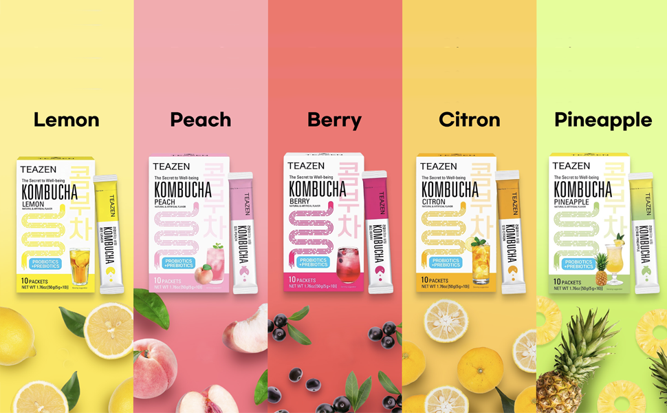 TEAZEN Kombucha Single Flavours